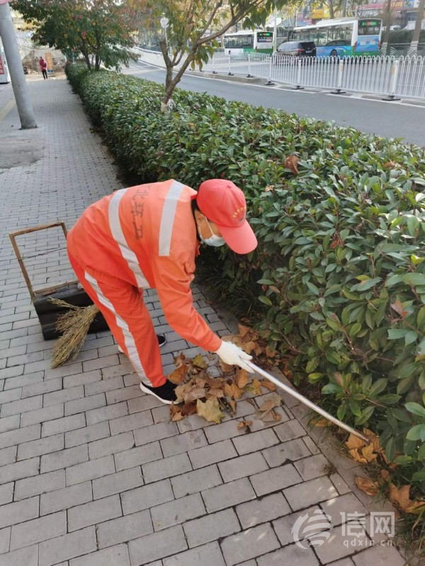 即清即运保洁净 市北环卫一公司人机联动清落叶