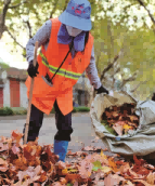 秋风秋雨扫落叶 环卫工人迎来清扫保洁战