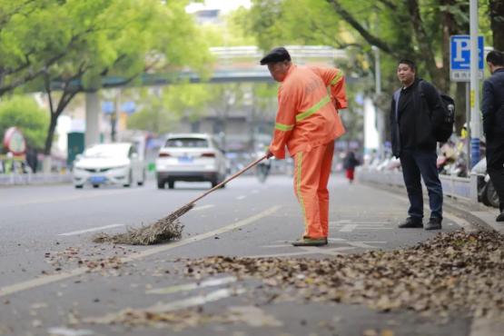 古田：环卫工清扫落叶 护城市整洁