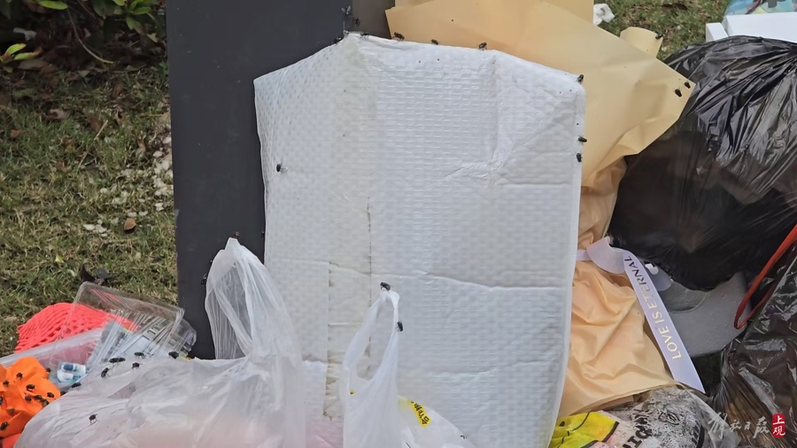上海临港一新小区地库闷臭像旱厕，地面垃圾堆放苍蝇乱飞！记者探访两度干呕
