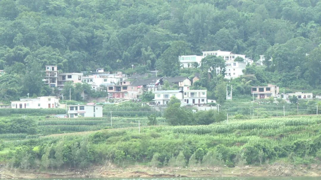 【乡村振兴】“厕所之变” 助推乡村振兴加速度