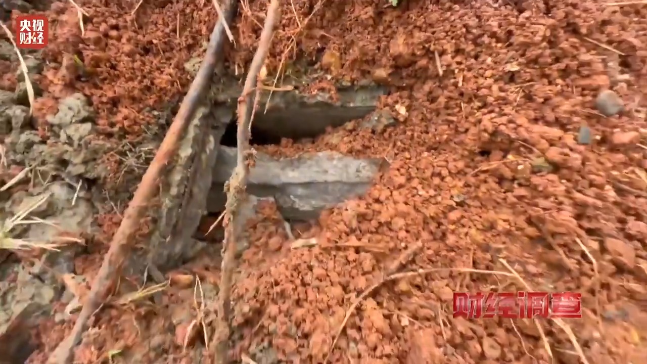 永久基本农田被垃圾掩埋！整改为何成“纸面工程”？