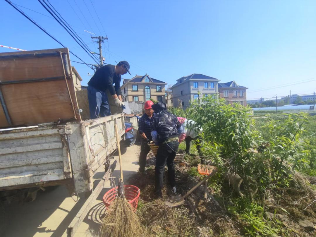 垃圾分类巾帼齐参与 低碳环保你我共践行