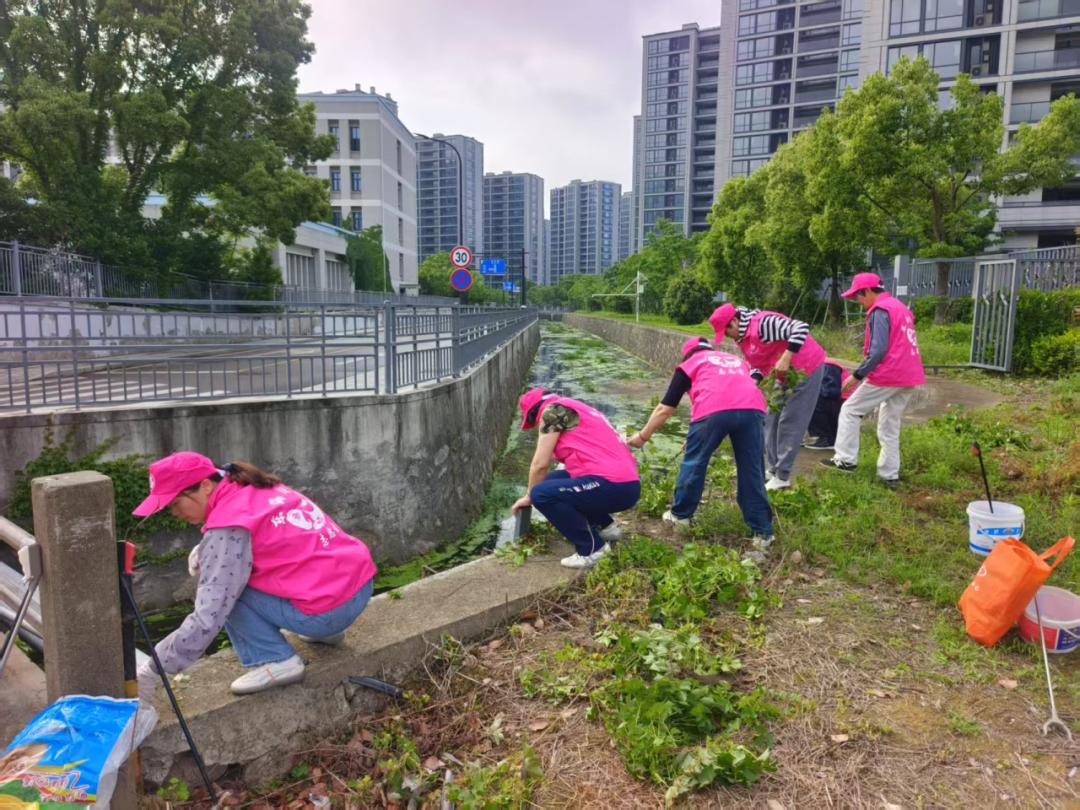 垃圾分类巾帼齐参与 低碳环保你我共践行