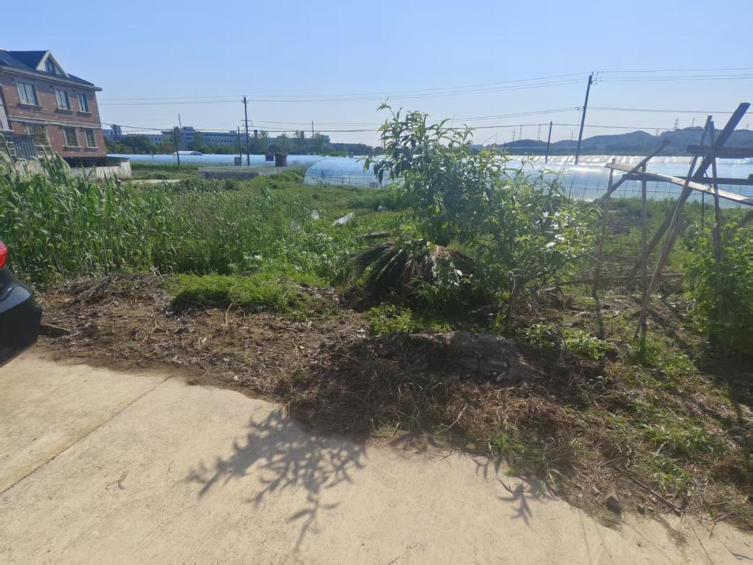 垃圾分类巾帼齐参与 低碳环保你我共践行
