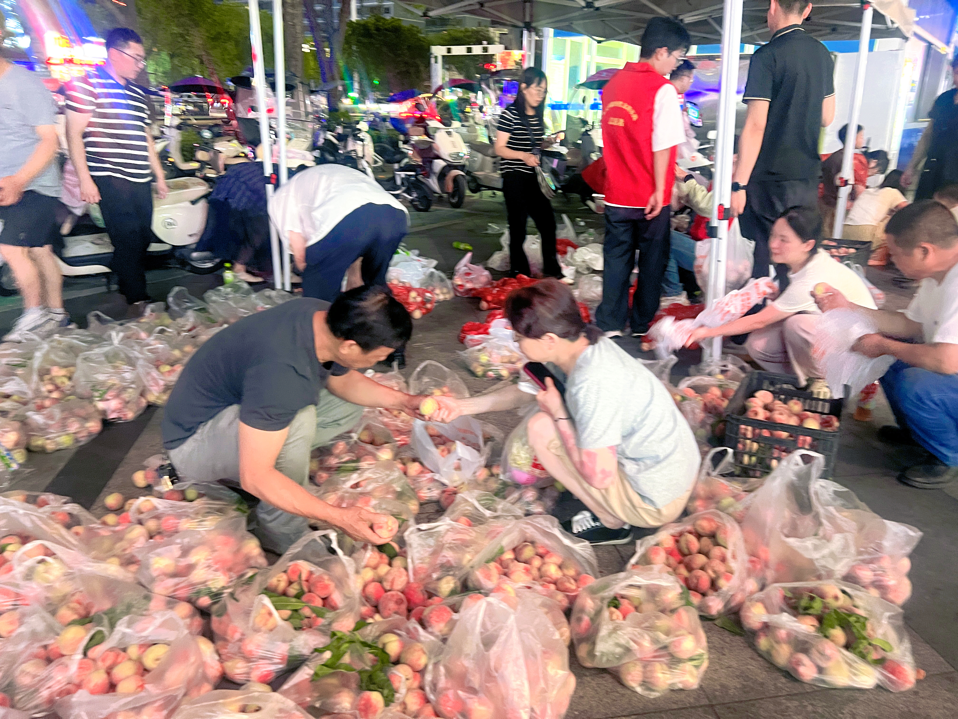 大冶：“助农+关爱”双行动 万亩桃香暖了果农心窝 浸了环卫笑颜