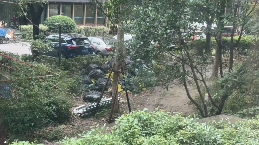 推窗可见“荒芜”绿化带内堆起十数袋垃圾！小区物业如此解释……