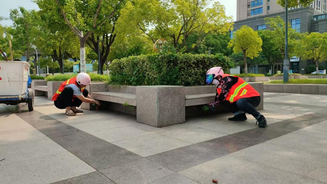 杂草滋生，环卫工人一番操作后......