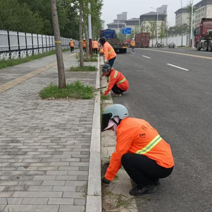 杂草滋生，环卫工人一番操作后......
