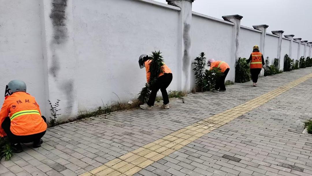 杂草滋生，环卫工人一番操作后......