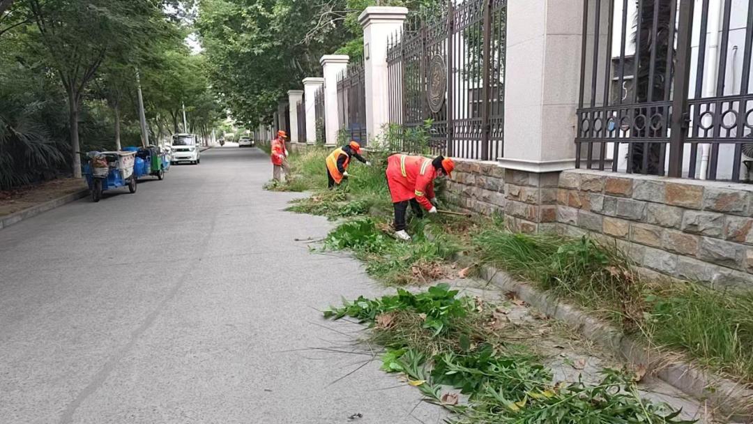 杂草滋生，环卫工人一番操作后......