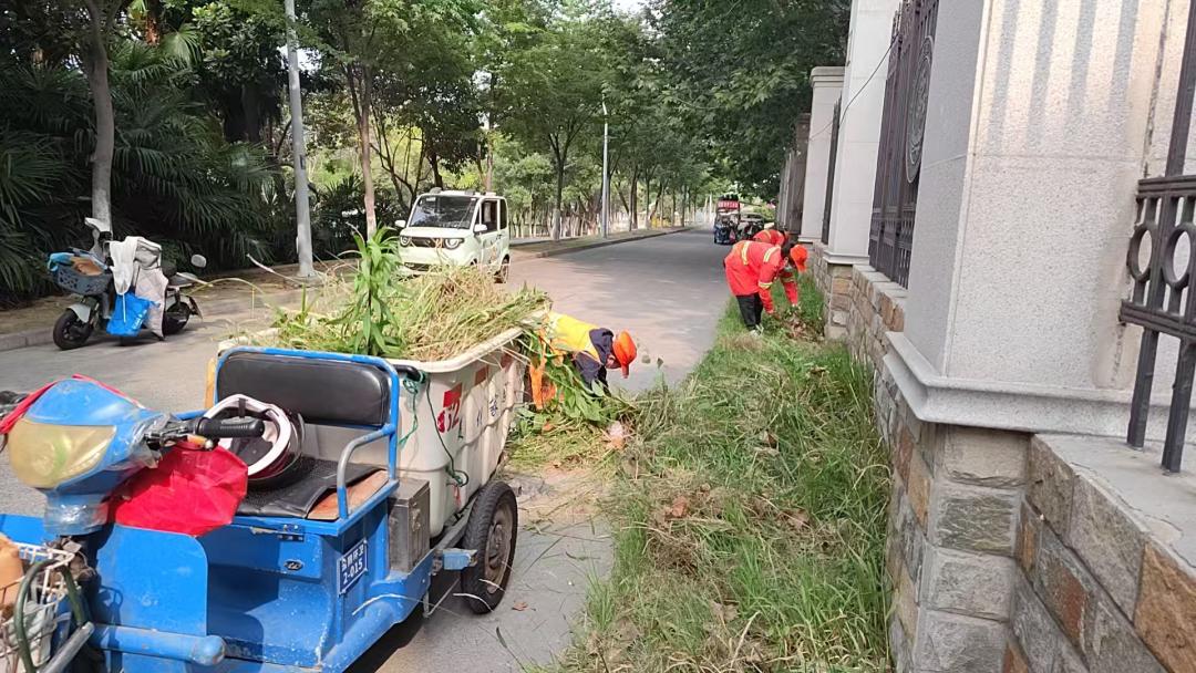 杂草滋生，环卫工人一番操作后......