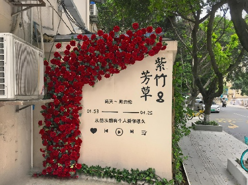 成都高新芳草街街道：以垃圾分类撬动全域人居环境升级
