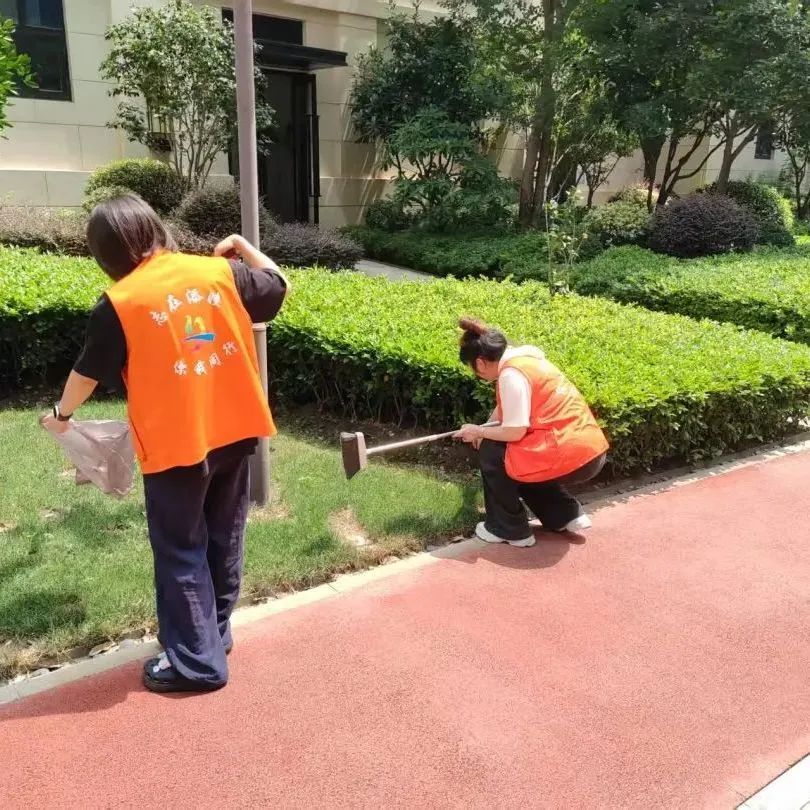 多方力量齐上阵，TA们扎实推进生活垃圾分类工作