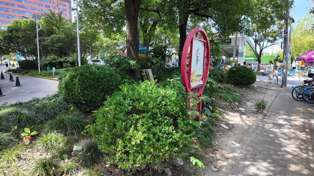 草皮光秃，绿化带成“垃圾桶”，何时改善？丨民情直通车