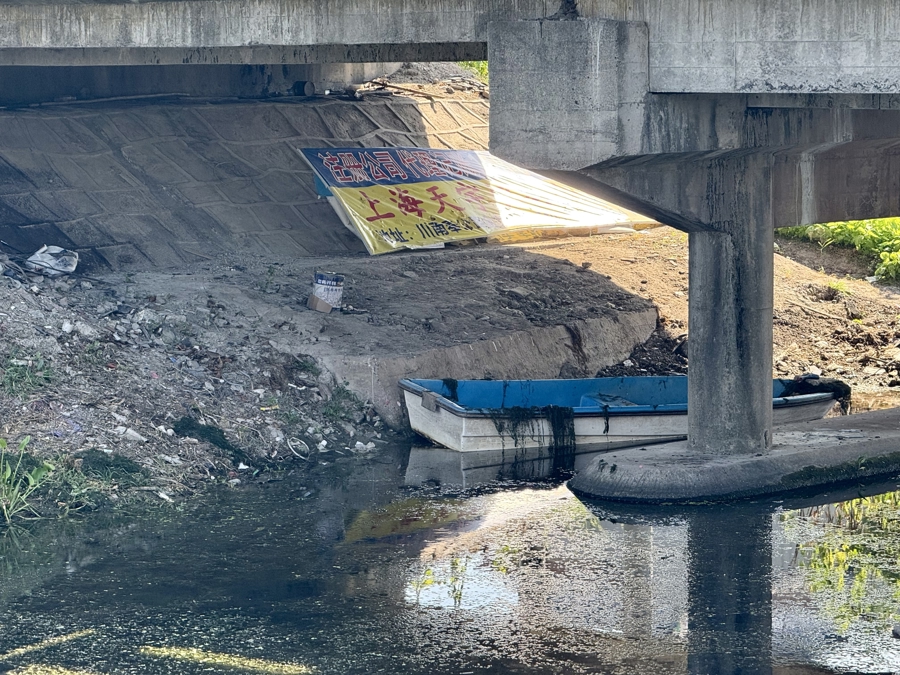 夏令行动 |河道垃圾竟如此处置？打捞上来的水草随意堆在岸边，高温腐臭难忍