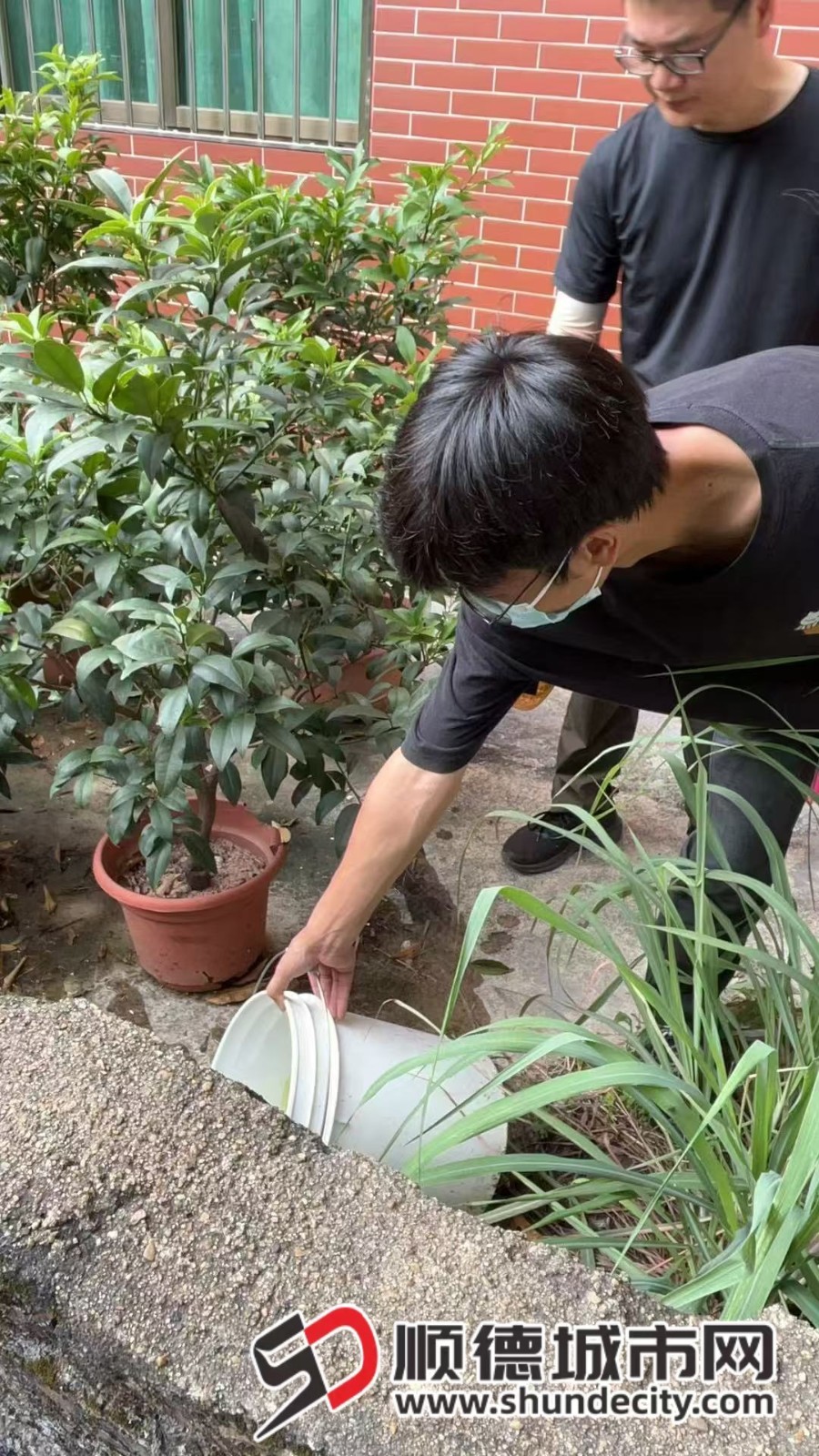 纪实 | 顺德城管：双线作战显担当 织密疫情“环卫防线”