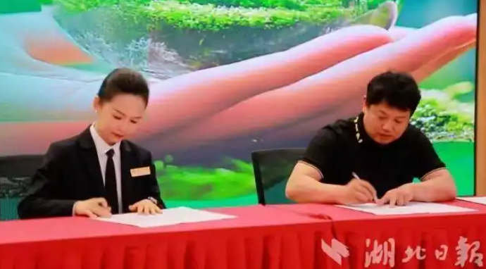 餐厨垃圾里的水、油、固渣全部物尽其用 “小龙虾之城”的虾壳“变形记”