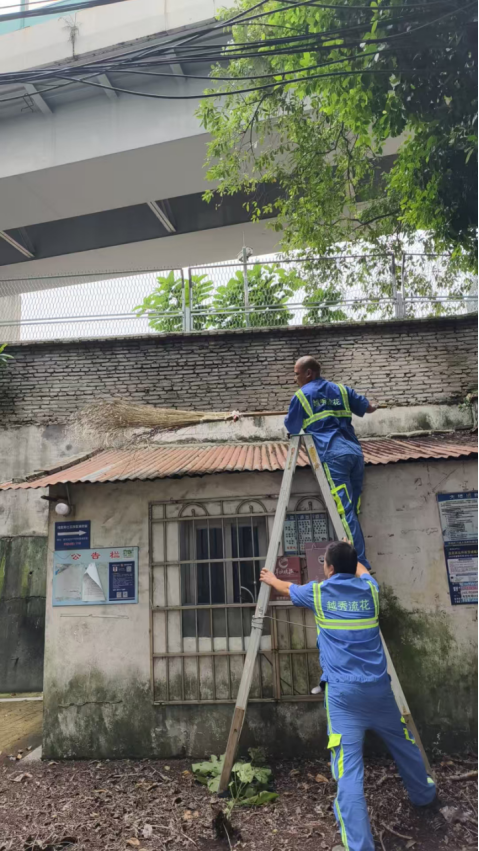 环卫工人妙招防“两热”，用行动与伊蚊“赛跑”