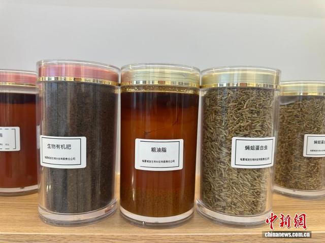甘肃临夏城市垃圾“再就业”